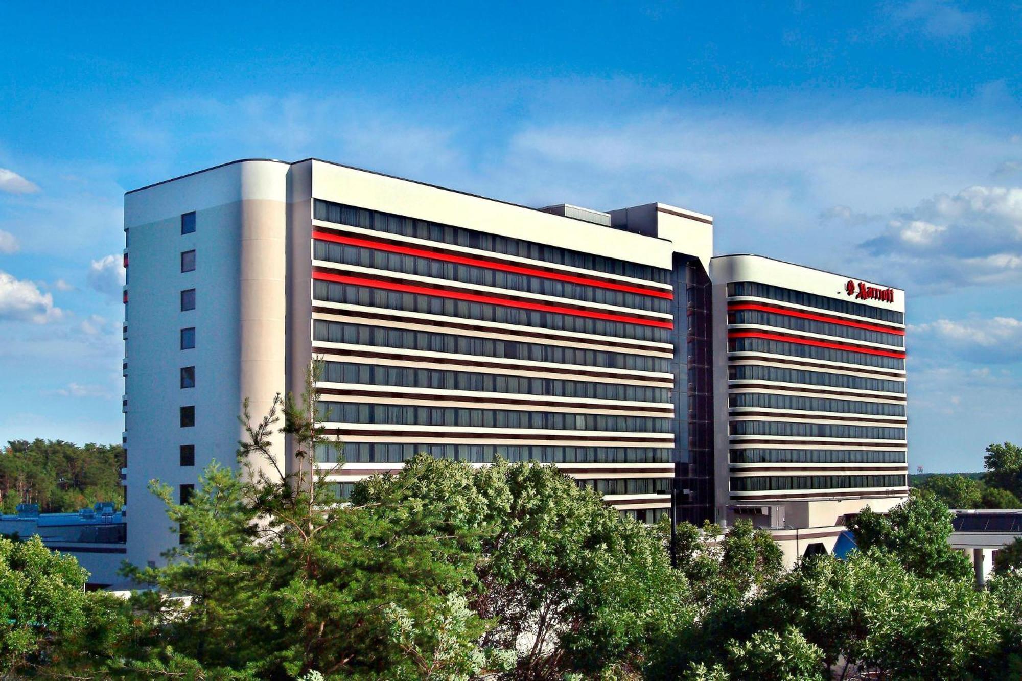 BWI Airport Marriott Hotel Linthicum Exterior foto